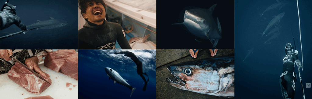 素潜り・魚突きでイソマグロを追う小坂薫平